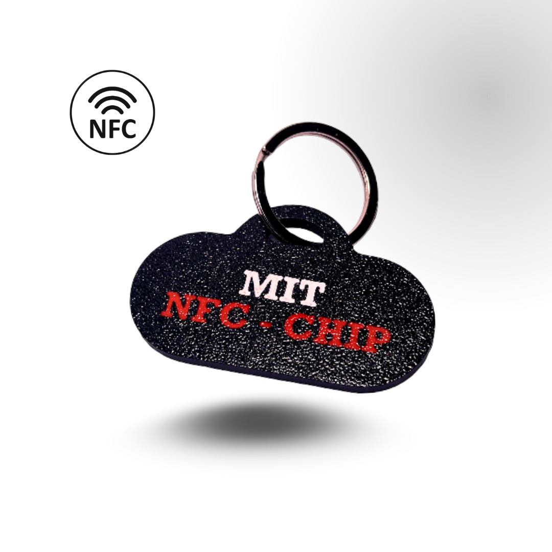 MUSTER - NFC - Schlüsselanhänger (1 Stück)